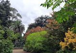 St Kilda Botanical Gardens