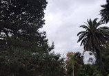 St Kilda Botanical Gardens