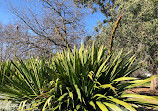 St Kilda Botanical Gardens