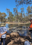 Melton Botanic Garden