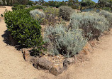 Melton Botanic Garden