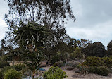 Melton Botanic Garden