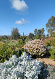 Melton Botanic Garden