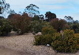 Melton Botanic Garden