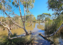 Melton Botanic Garden