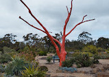 Melton Botanic Garden