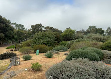 Melton Botanic Garden