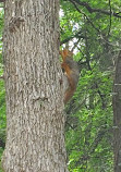 Buffalo Ridge Park