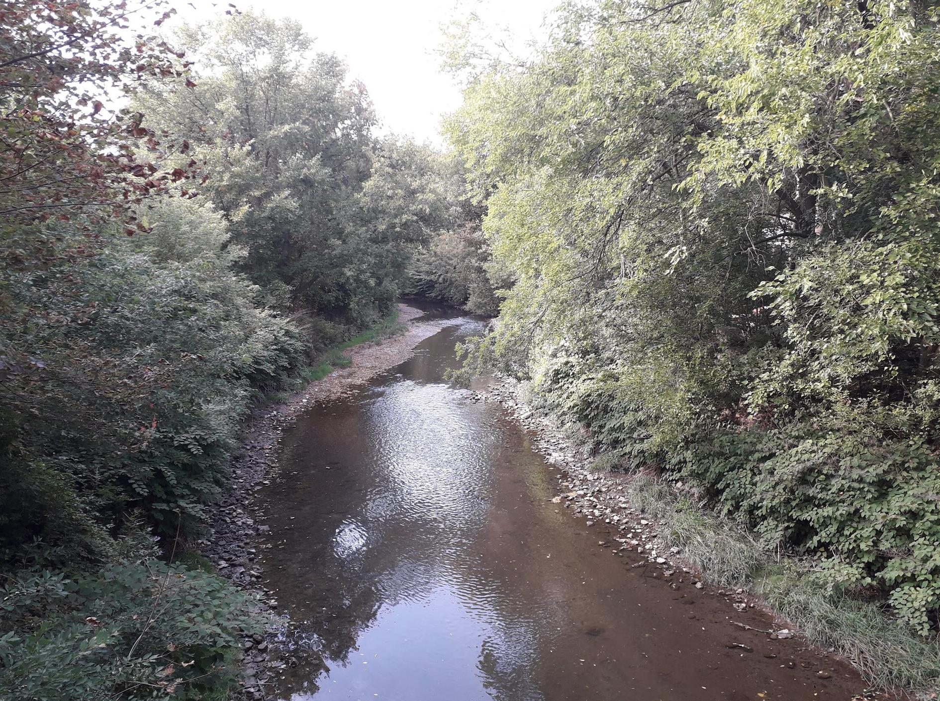 Plymbridge Bridge