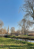 Clissold Park Deer