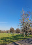 Clissold Park Deer