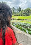 Singapore Botanic Gardens