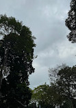 Singapore Botanic Gardens