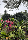 Singapore Botanic Gardens