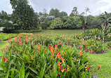 Singapore Botanic Gardens