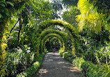 Singapore Botanic Gardens