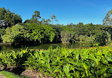 Singapore Botanic Gardens