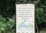 Singapore Botanic Gardens