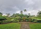 Singapore Botanic Gardens