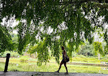 Singapore Botanic Gardens