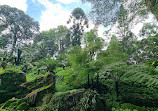 Singapore Botanic Gardens