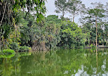 Singapore Botanic Gardens