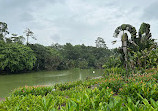 Singapore Botanic Gardens