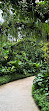 Singapore Botanic Gardens