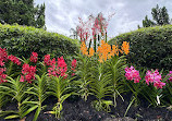 Singapore Botanic Gardens