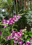 Singapore Botanic Gardens