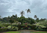 Singapore Botanic Gardens