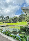 Singapore Botanic Gardens