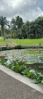 Singapore Botanic Gardens