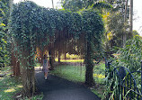 Singapore Botanic Gardens