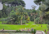 Singapore Botanic Gardens