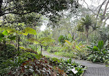 Singapore Botanic Gardens