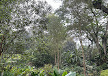 Singapore Botanic Gardens