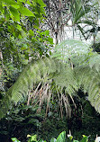 Singapore Botanic Gardens