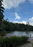 Singapore Botanic Gardens