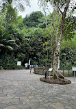 Singapore Botanic Gardens