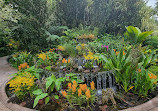 Singapore Botanic Gardens