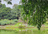 Singapore Botanic Gardens