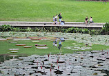 Singapore Botanic Gardens