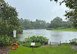 Singapore Botanic Gardens