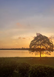 Upper Seletar Reservoir Park Car Park B