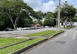 Upper Seletar Reservoir Park Car Park B