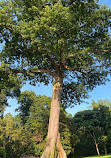 Upper Seletar Reservoir Park Car Park B