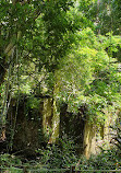 Thomson Nature Park Car Park