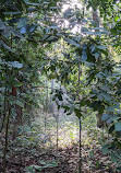 Thomson Nature Park Car Park