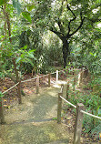 Thomson Nature Park Car Park